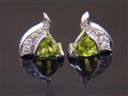 EAR_AB_21567 5